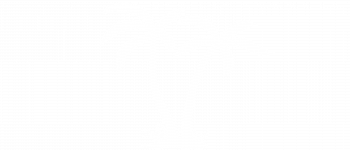 palme-01